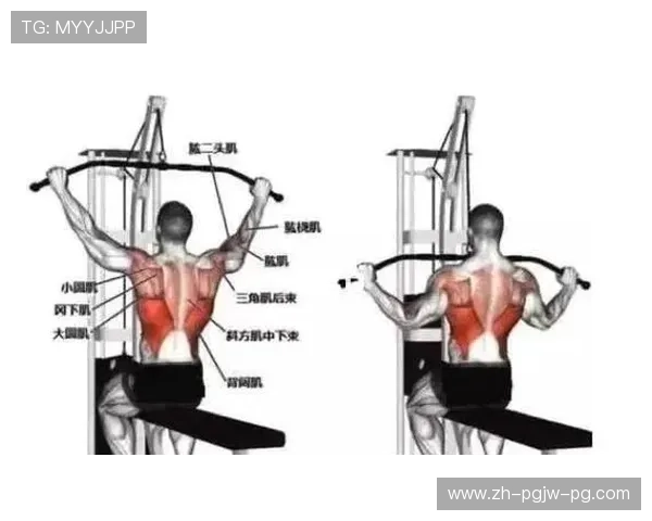 高位下拉器材品牌推荐，助你打造完美背部肌肉